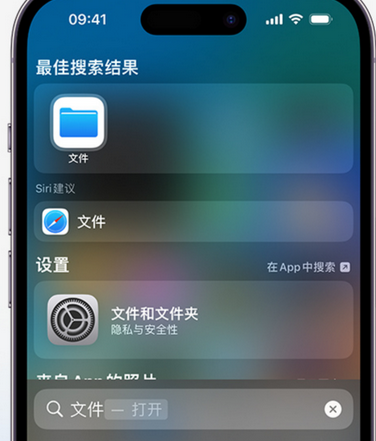 立山apple维修中心分享iPhone文件应用中存储和找到下载文件