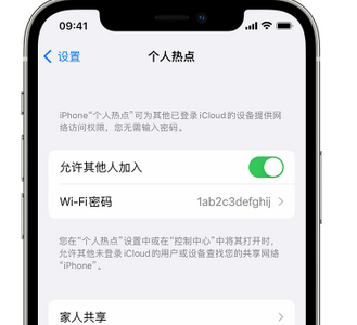 立山apple服务站点分享iPhone上个人热点丢失了怎么办