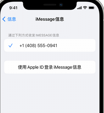 立山apple维修iPhone上无法正常发送iMessage信息 