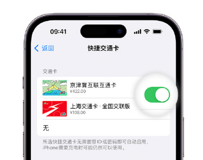 立山apple维修点分享iPhone上更换Apple Pay快捷交通卡手绘卡面 