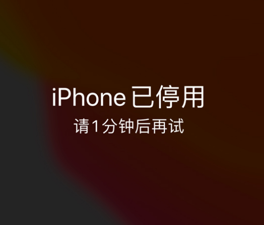 立山苹果手机维修分享:iPhone 显示“不可用”或“已停用”怎么办？还能保留数据吗？ 