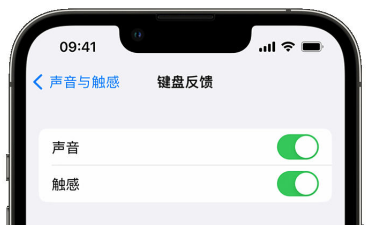 立山苹果手机维修分享iPhone 14触感键盘使用方法 
