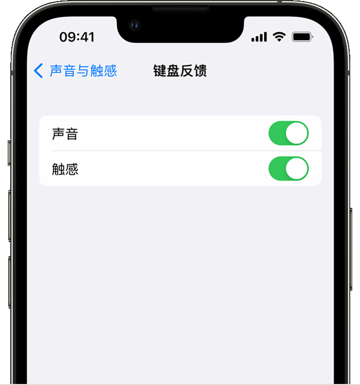 立山苹果14维修店分享如何在 iPhone 14 机型中使用触感键盘 