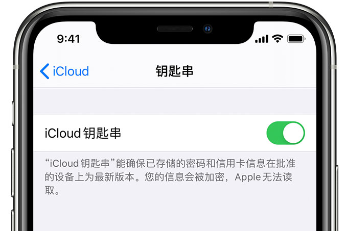 立山苹果手机维修分享在 iPhone 上开启 iCloud 钥匙串之后会储存哪些信息 