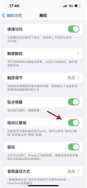 立山苹果手机维修分享iPhone手机如何设置摇一摇删除文字 