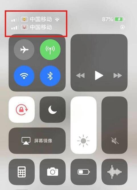 立山苹果手机维修分享为 iPhone 12 双卡设置标签 